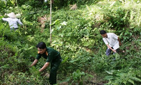 Kỳ 2: Ký ức Hầm Năm cửa