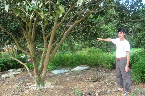 Dồn điền đổi thửa ở huyện Chương Mỹ (Hà Nội): Bốc thăm cứng nhắc, người dân thiệt thòi