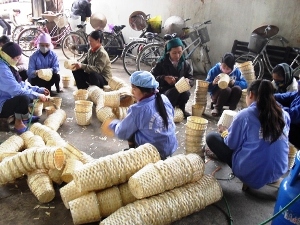 Trường hợp bị tước giấy chứng nhận đăng ký hoạt động dạy nghề