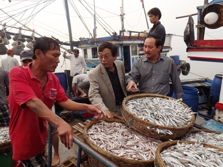 Được mùa... vẫn lo