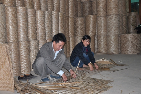 Nghề đan cót ở xã Đạo Lý