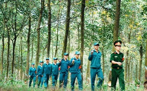 Tiêu chuẩn và tuyển chọn vào dân quân tự vệ nòng cốt