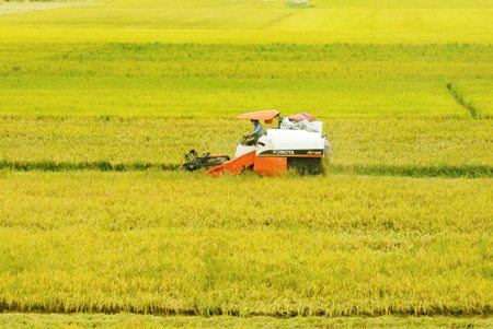 Người nông dân phải là chủ thể