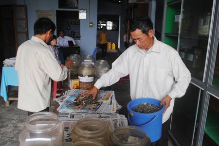 Phòng khám bệnh của lòng nhân ái