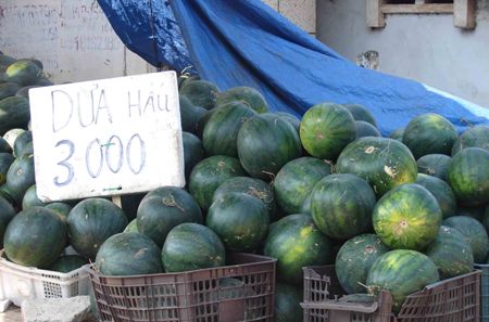 Gia Lai: Dưa hấu rớt giá và bài học cho người nông dân  