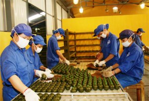 Trách nhiệm của người sử dụng lao động đối với tổ chức công đoàn