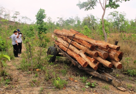 Tận diệt rừng phòng hộ Buôn Đôn (Đắc Lắc): Ai chịu trách nhiệm?