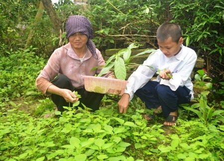 Hoàn cảnh gia đình bà Sẽ rất đáng thương