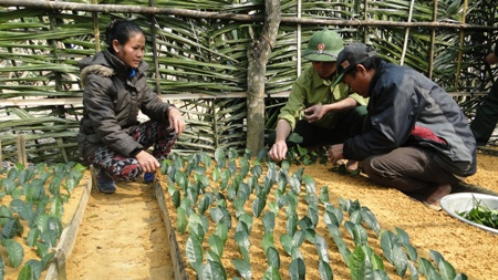 Thiết thực giúp nhân dân thoát nghèo bền vững