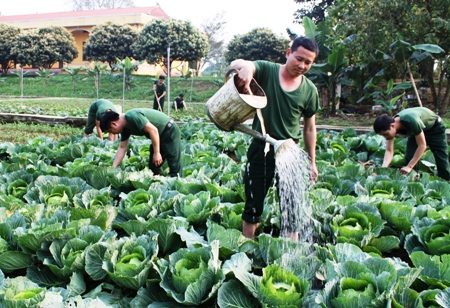 Lữ đoàn 201: Nhiều biện pháp giảm vi phạm kỷ luật