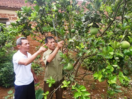 Tấm lòng thiện nguyện của một cựu chiến binh