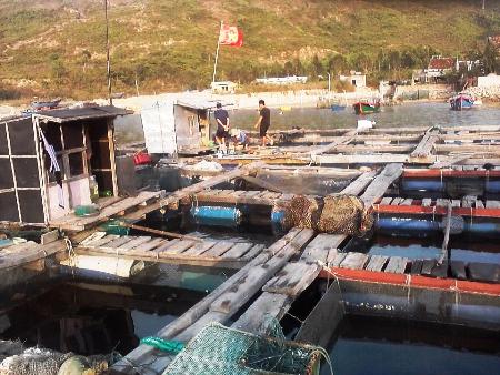 Vụ gây sự cố tràn dầu ở biển Quy Nhơn (Bình Định): Cần xác minh, kết luận chính xác mức bồi thường thiệt hại