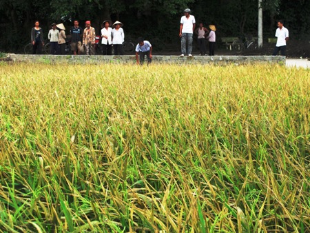 Cần làm rõ và có biện pháp khắc phục triệt để