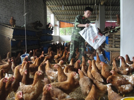 Phong trào tăng gia sản xuất ở Trung đoàn 12