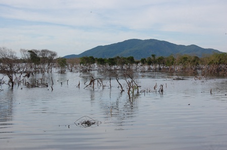 Huyện Lộc Hà, tỉnh Hà Tĩnh: 