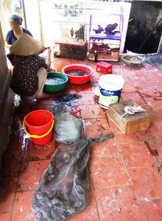 Xã Nhật Tân (Kim Bảng, Hà Nam): Báo động tình trạng tận diệt chim trời