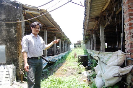 Xử lý việc đòi lại đất cho thuê, đổi ở xã Nhật Tân (Kim Bảng, Hà Nam): Cần giải pháp thấu tình, đạt lý