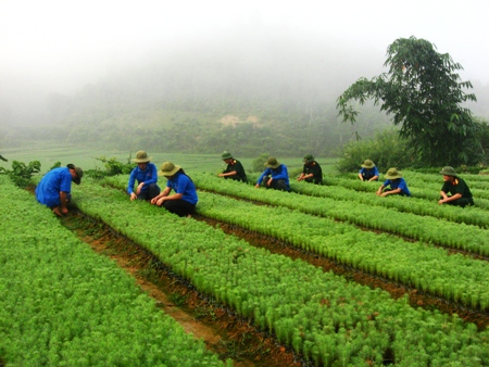 Những người khai phá Mẫu Sơn