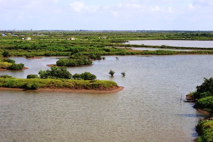 Vườn Quốc gia Xuân Thủy: Kết hợp hài hòa giữa bảo tồn và phát triển bền vững
