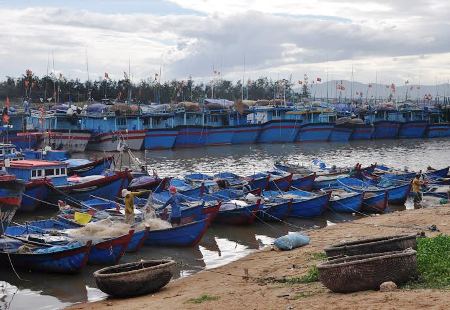 Phú Yên: Hàng loạt tàu cá đánh bắt xa bờ… 