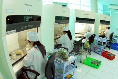 Trách nhiệm của UBND cấp tỉnh về khoa học và công nghệ
