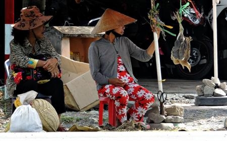 Chim trời phương Nam 