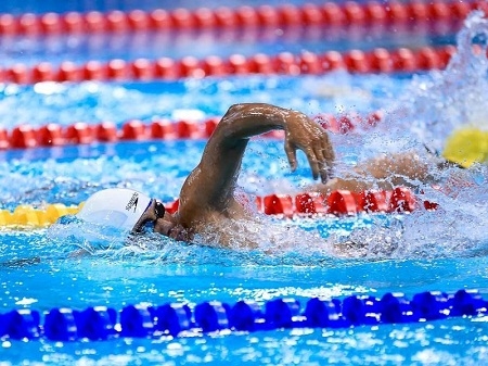 Đoàn Việt Nam đoạt 48 HCV tại ASEAN Paragames 2015