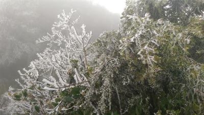 Bắc Bộ nhiệt tăng dần, vùng núi vẫn rét đậm, rét hại 