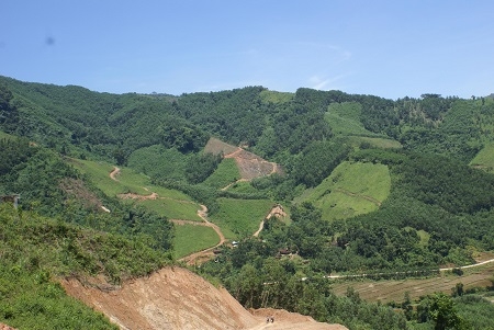 Cho doanh nghiệp thuê đất rừng rồi... bỏ hoang