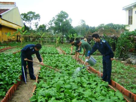 100% các trung đoàn, tiểu đoàn tự túc được rau xanh