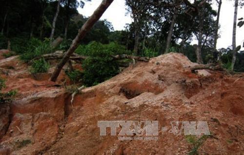 Thanh Hóa: Ba người chết do sập hầm khai thác đá xanh 