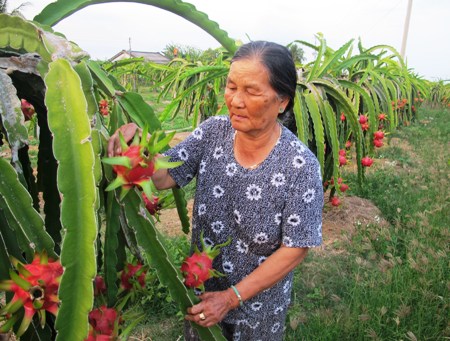 Người cắm cờ Quân Giải phóng trong 