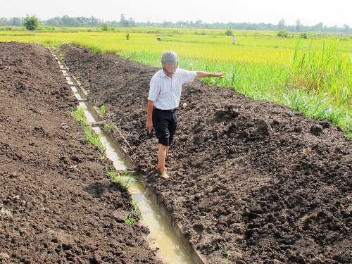 Kênh thủy lợi chìm dưới mặt ruộng (!)