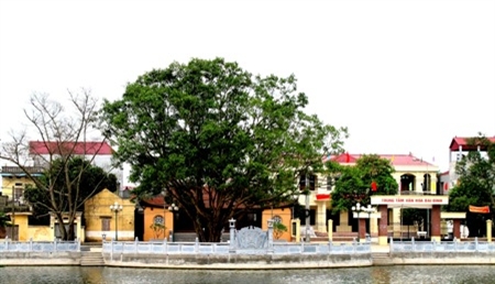 Đại Đình đổi mới