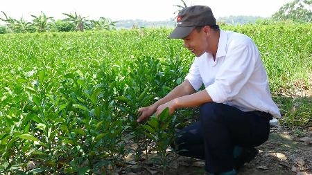 Bí thư Đoàn xã làm kinh tế giỏi