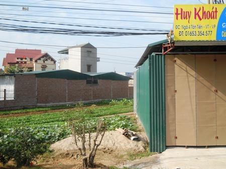 Huyện Vĩnh Tường (tỉnh Vĩnh Phúc): Nhiều quán kinh doanh dựng trái phép trên đất nông nghiệp