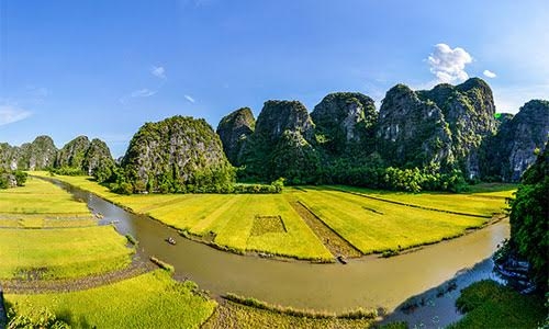 Vàng ruộm Tam Cốc – Bích Động mùa lúa chín