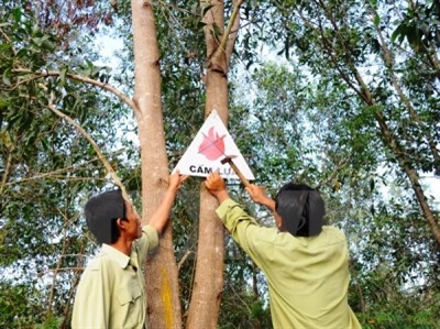 Những hành vi bị nghiêm cấm trong Luật Phòng cháy và chữa cháy