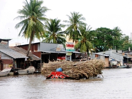 Mía đường đứng ở đâu trước giờ hội nhập?