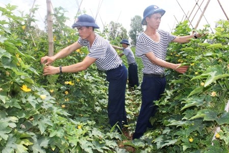 Lữ đoàn 962 (Quân khu 9): Chọn khâu đột phá để nâng cao đời sống bộ đội