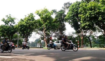 Đông Bắc Bộ có mưa nhỏ, nhiệt độ giảm 3-4 độ C 