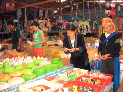 Mưa phía cuối đại ngàn (Kỳ 2)