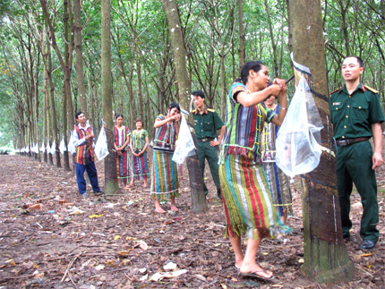 Mưa phía cuối đại ngàn (Tiếp theo và hết)