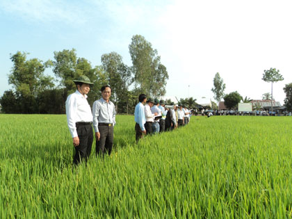 Động lực để phát triển nền nông nghiệp bền vững