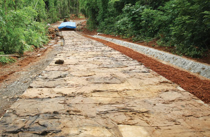 Trên con đường mang hình Tổ quốc