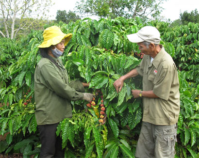 Còn sức khỏe - còn cống hiến