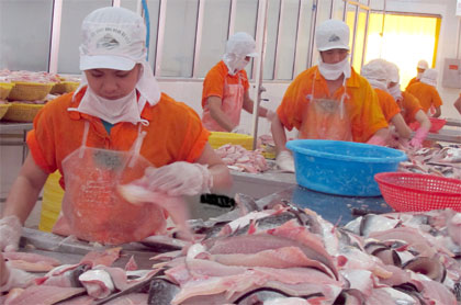 Tháo gỡ khó khăn để phát huy thế mạnh cá tra