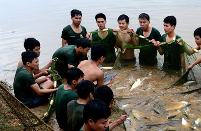 100% đơn vị dự thi đạt tiêu chuẩn “Đơn vị nuôi quân giỏi, quản lý quân nhu tốt”