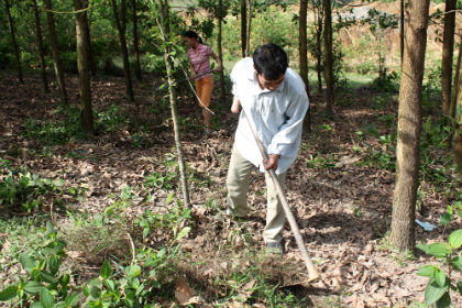 Nỗi đau và khát vọng vươn lên (Tiếp theo và hết)