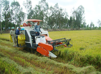 Cần cấp vốn nhanh, thu mua dứt điểm